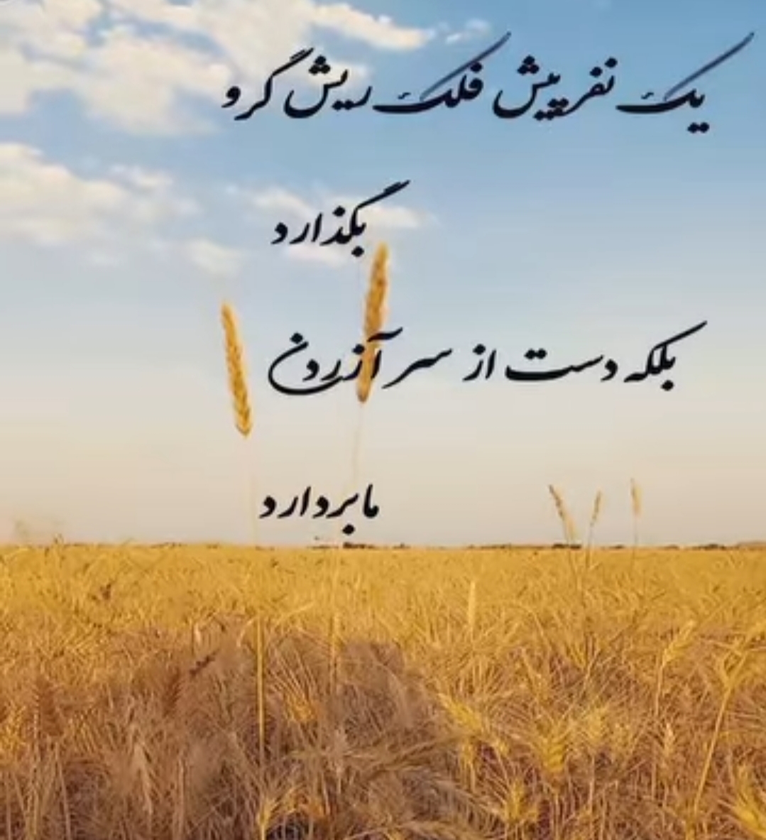 بانو نسرین