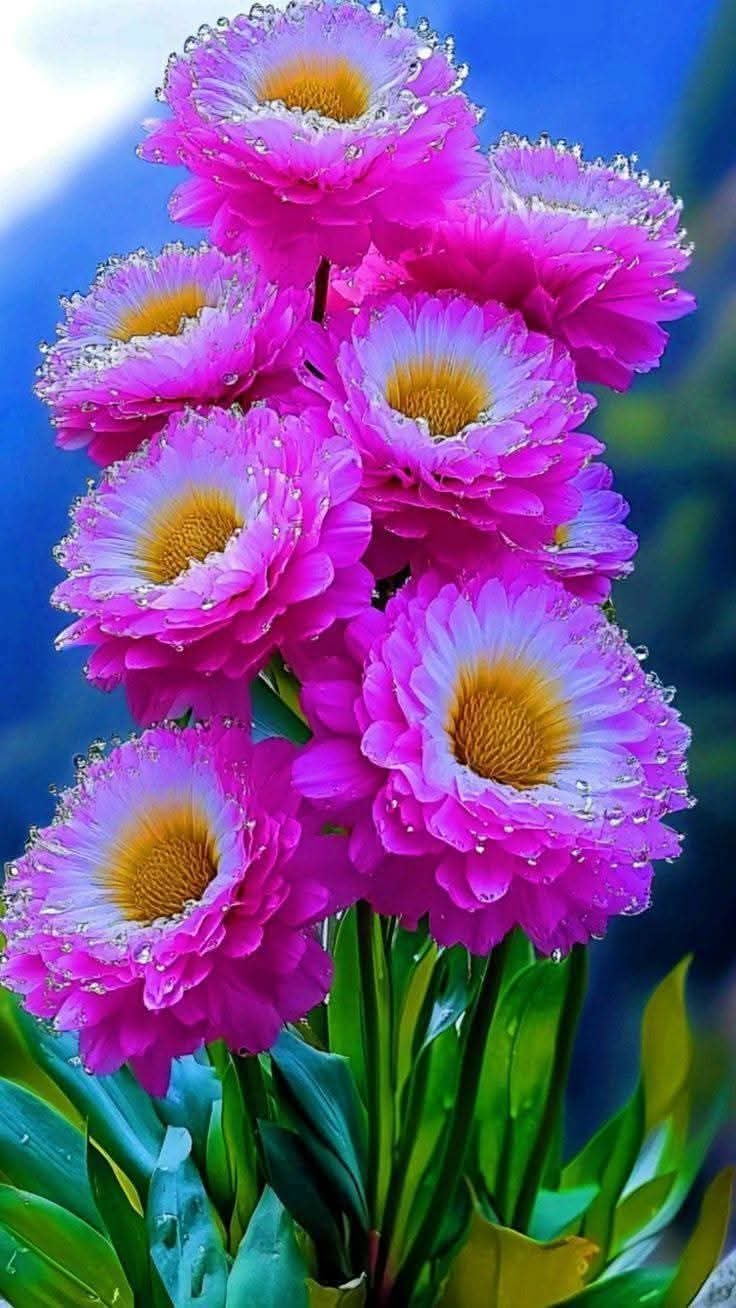 دروازه دروغ