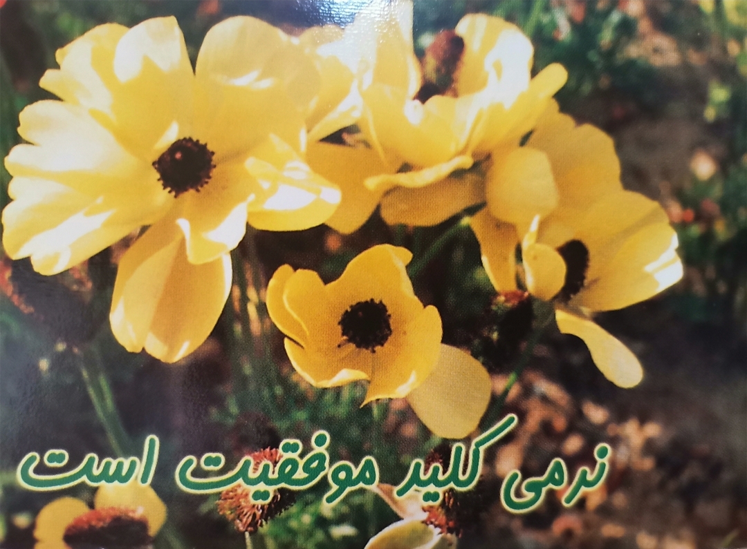 کارت های مثبت اندیشی تکنولوژی فکر دکتر آزمندیان