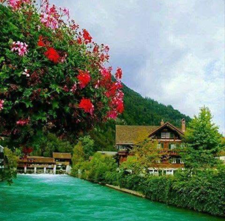 جمعه های چشم به راه