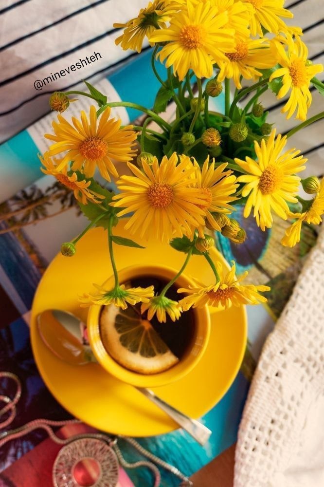 عشق است وطن